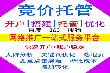 百度推广运营实战技巧：案例教学与实战演练